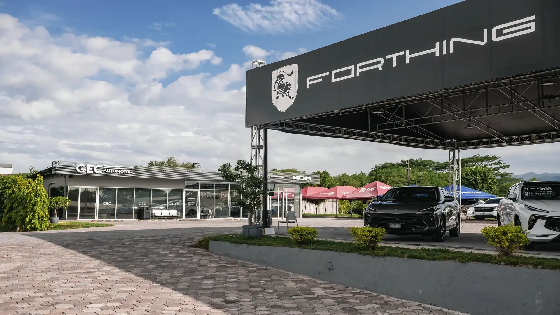 Background image for year 2025