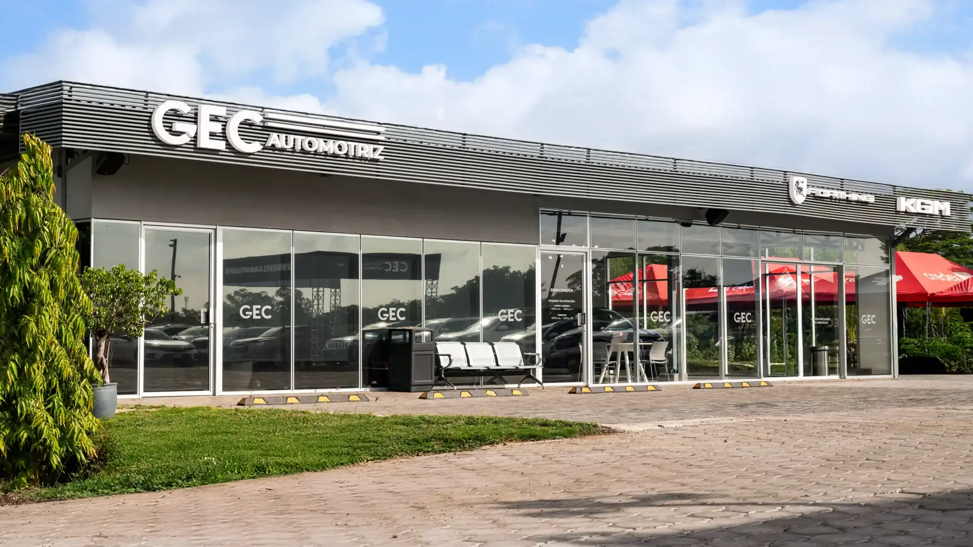 Background image for year 2025