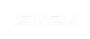 Brand image for year 2021