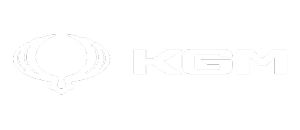 Brand image for year 2025