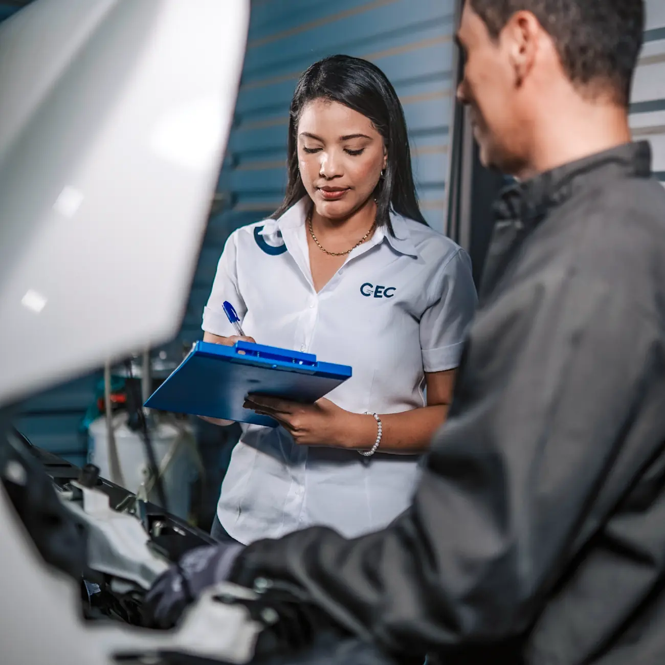 Descripción de la imagen